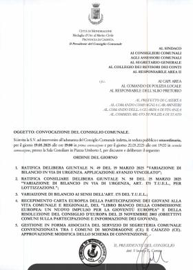 CONSIGLIO COMUNALE DEL 19.05.2025