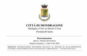 AREA IV - POLIZIA MUNICIPALE   MANIFESTAZIONE D\'IN