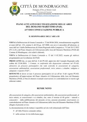 PIANO ATTUATIVO DI UTILIZZAZIONE DELLE AREE  DEL D